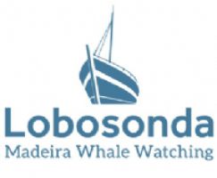 Lobosonda - Madeira whale watching logo